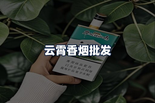 云霄香烟批发
