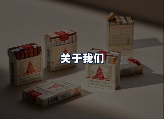 关于我们